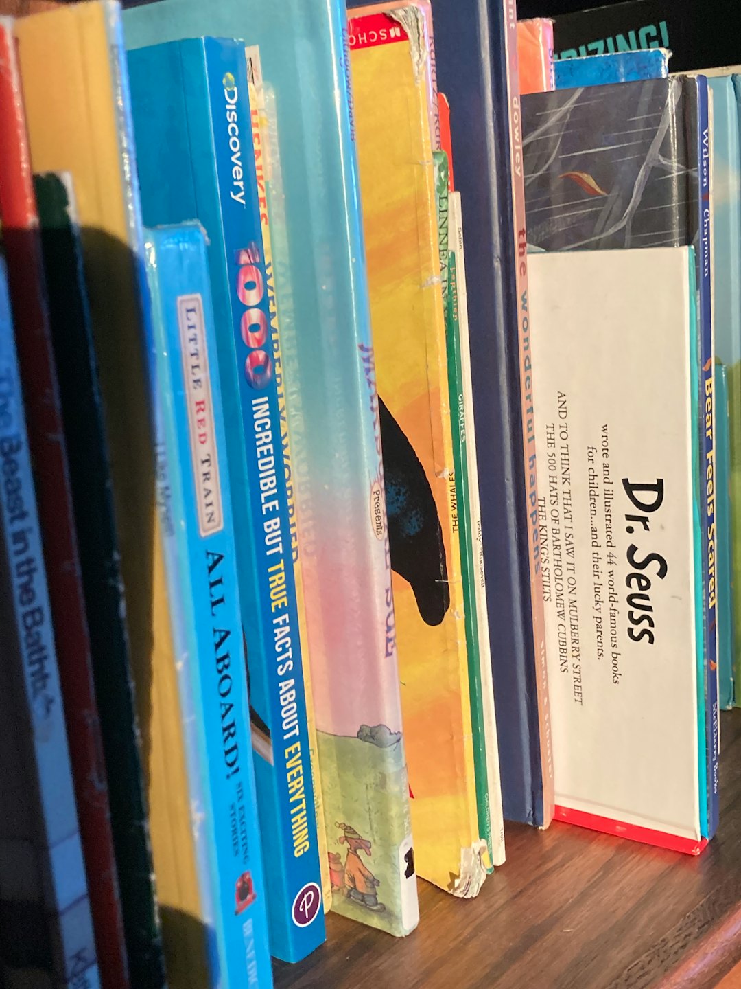 Colorful children books stand upright on a wooden shelf.